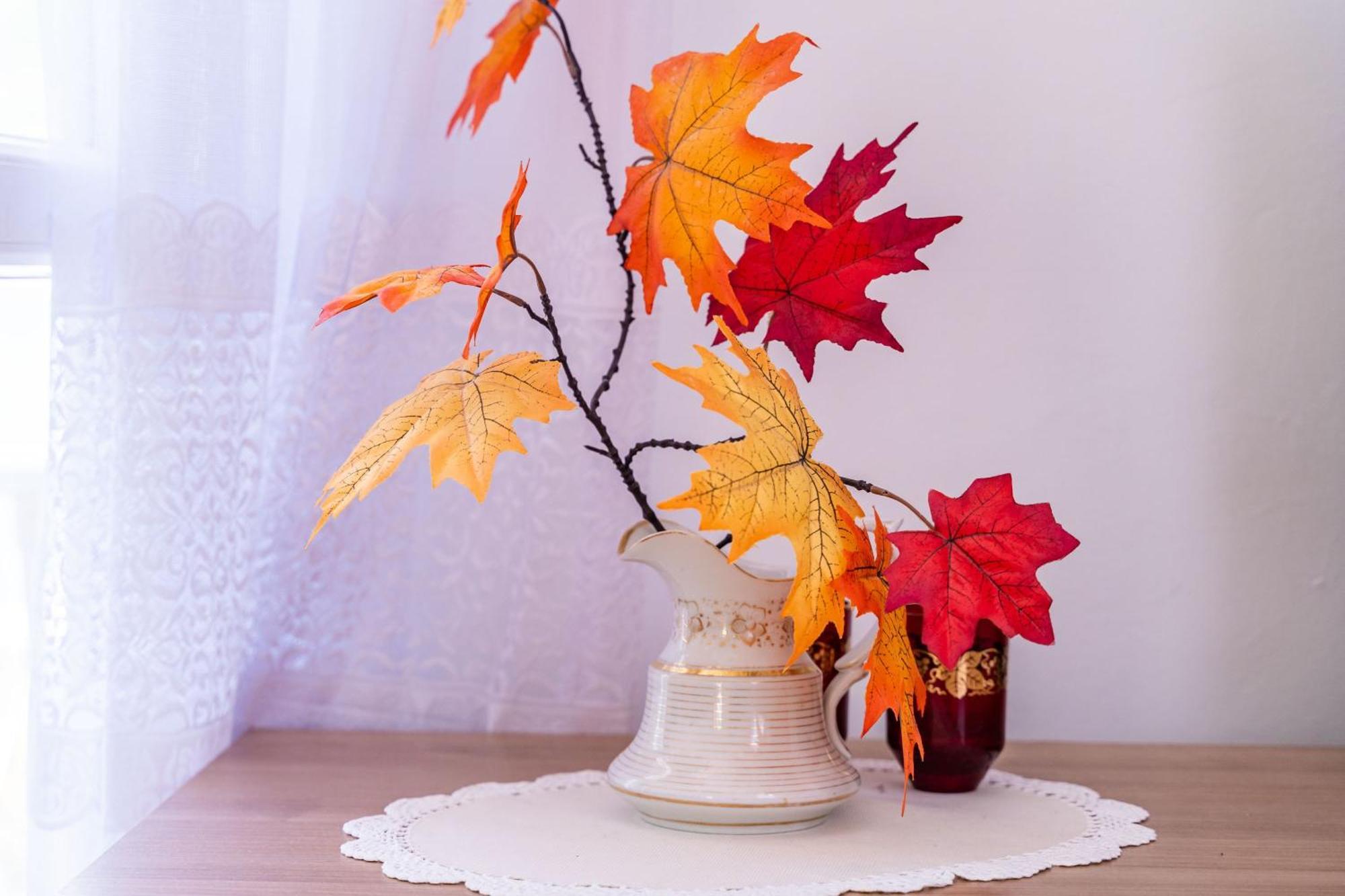 Apartments Zarac 두브로브니크 객실 사진