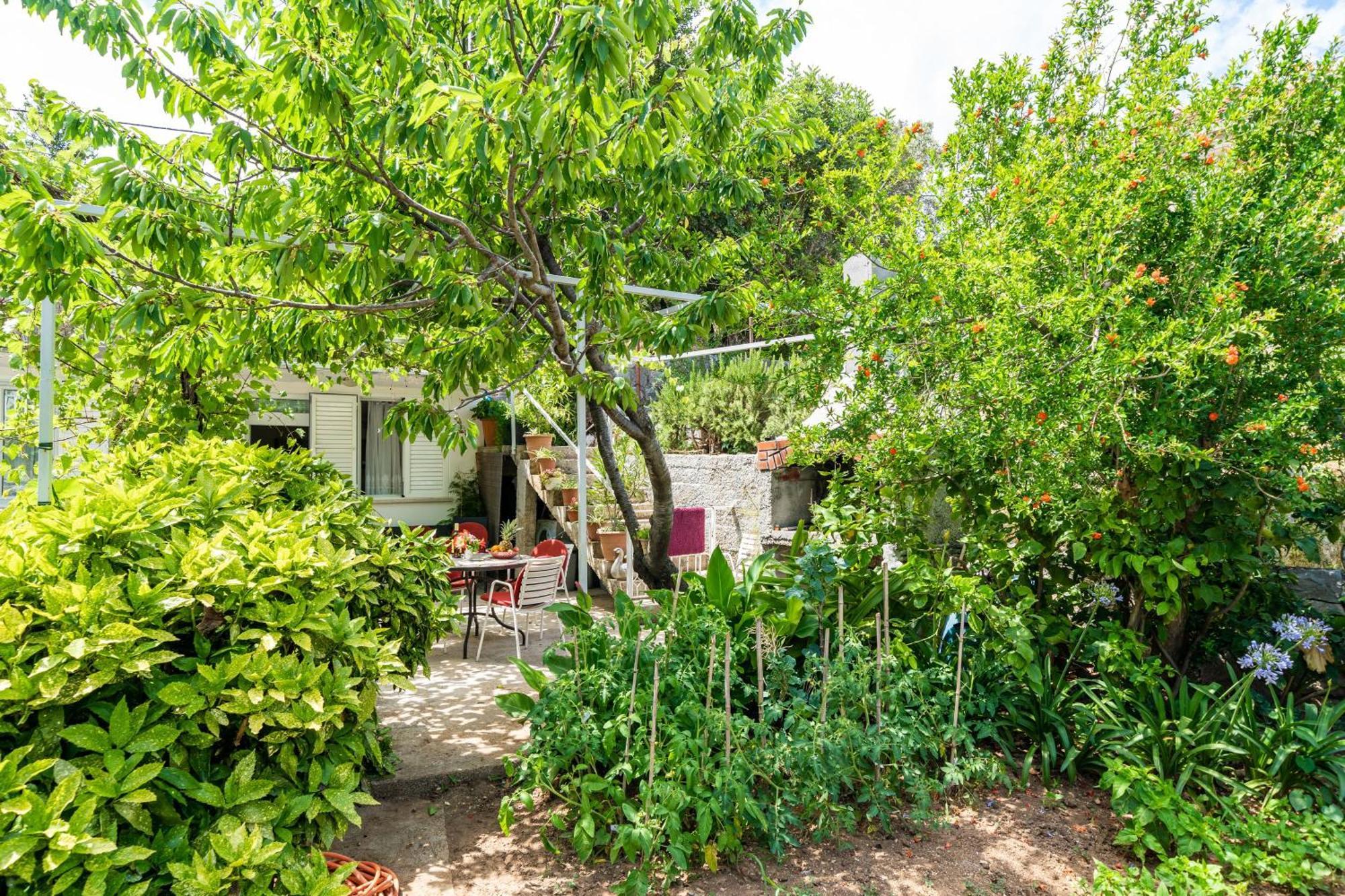 Apartments Zarac 두브로브니크 객실 사진
